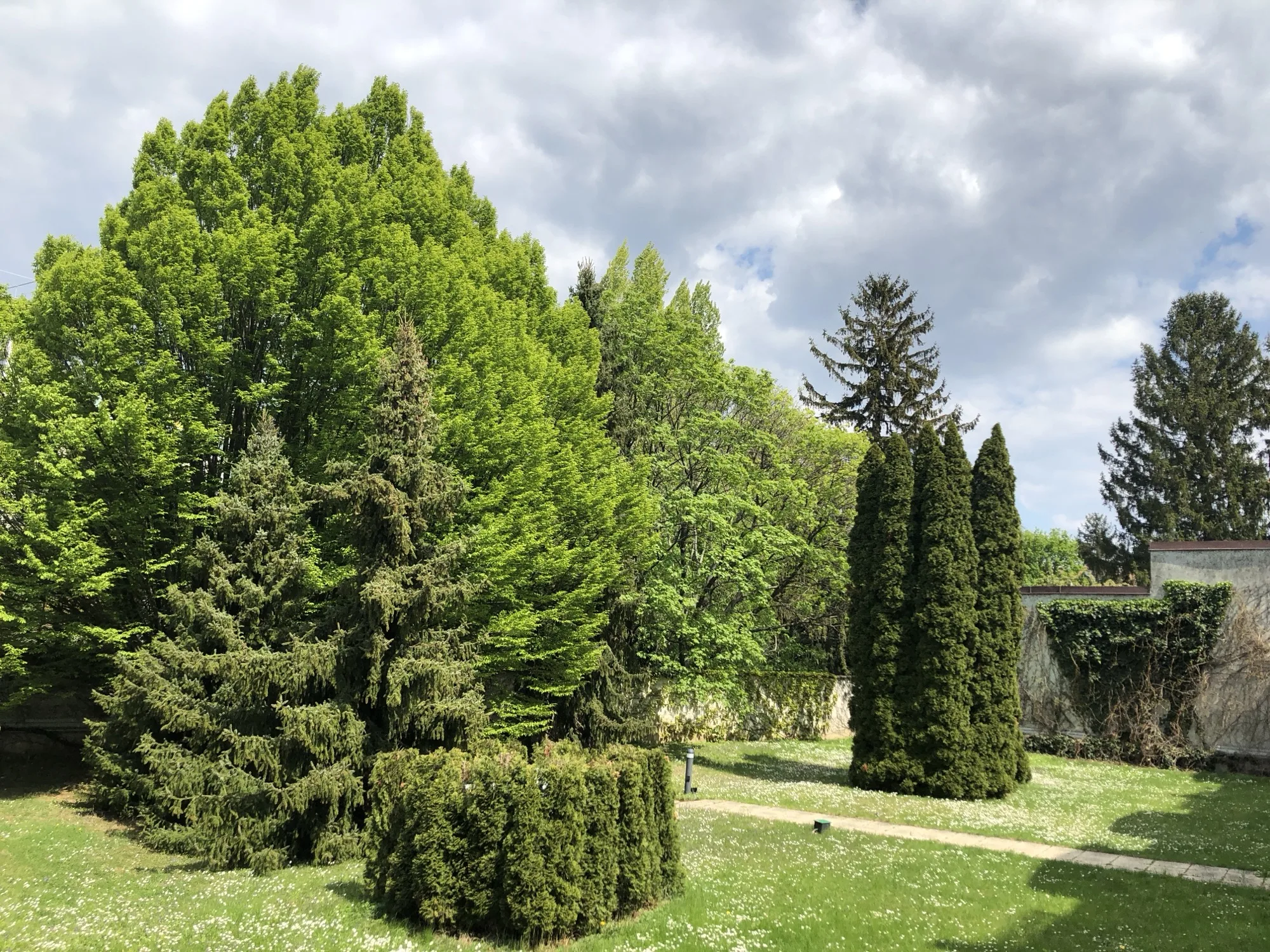 Grünraum und alte Bäume an der Zehenthofgasse